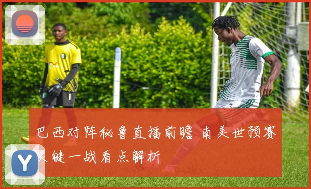 巴西对阵秘鲁直播前瞻 南美世预赛关键一战看点解析